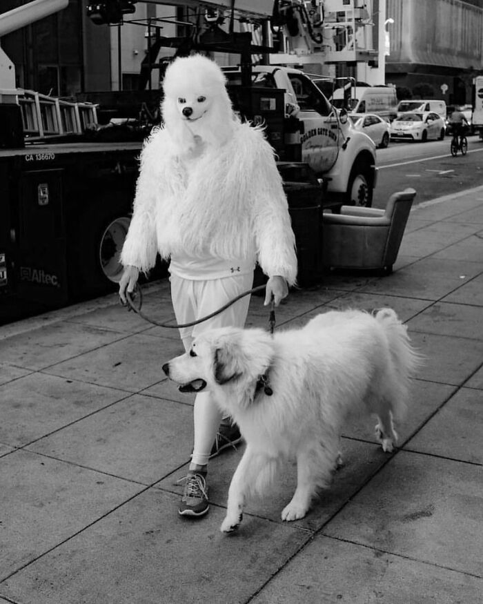 This Instagram Account Features Amusing Street Photographs And Has More Than 570 Thousand Followers (64 New Pics)