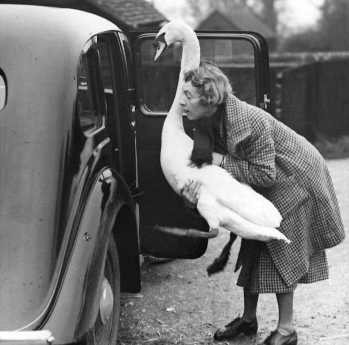 This Instagram Account Features Amusing Street Photographs And Has More Than 570 Thousand Followers (64 New Pics)