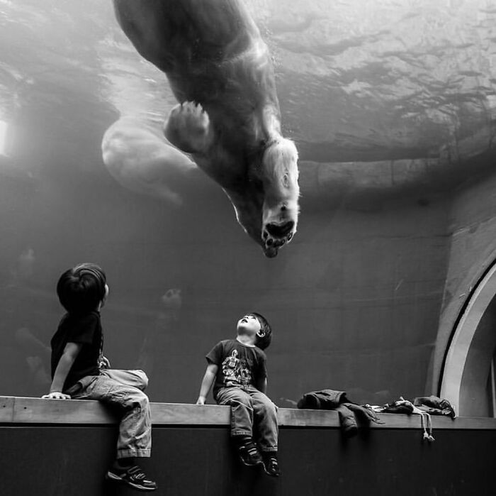 Instagram Account Collects And Shares Pictures That Capture Chance Encounters In Public Places (50 New Pics)