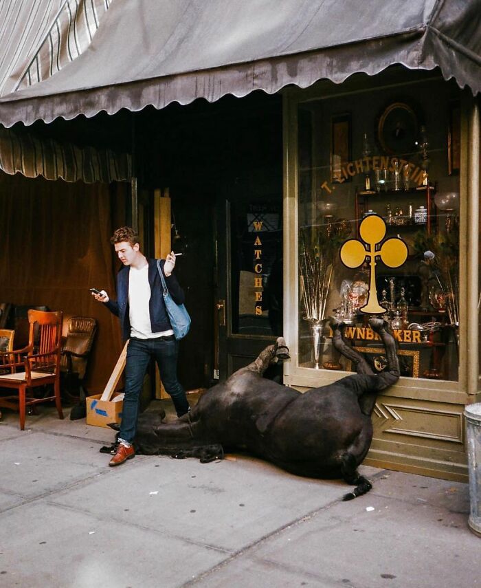 This Instagram Account Features Amusing Street Photographs And Has More Than 570 Thousand Followers (64 New Pics)