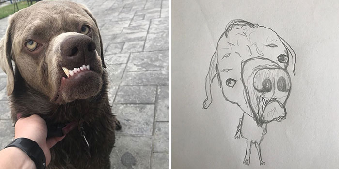 This Guy Is Trolling His Followers By Drawing Their Avatars And They Approve Of The Result