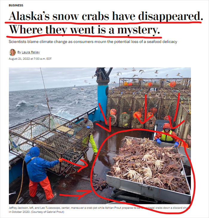 Fishing crew on a boat handling crab pots amid concerns about disappearing Alaska snow crabs and their impact on nature and the planet.