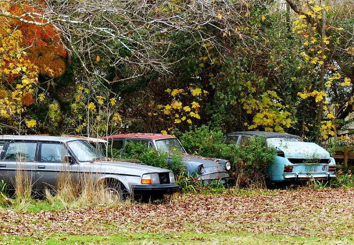 “What Did The Pandemic Ruin More Than We Realize?” (30 Answers)