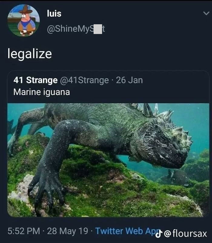 Memes-Satisfy-Sophisticated-Gentleman-Facebook