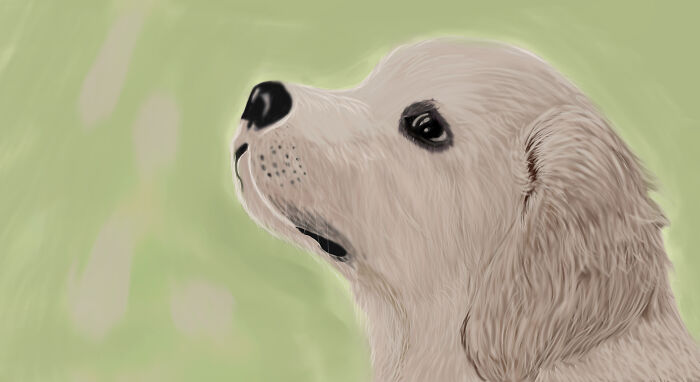 The Painting Of Friend's Dog I Did