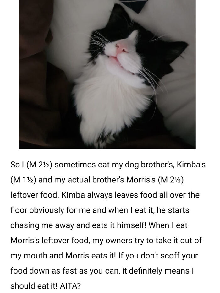 Aita For Eating My Brothers' Leftover Food?