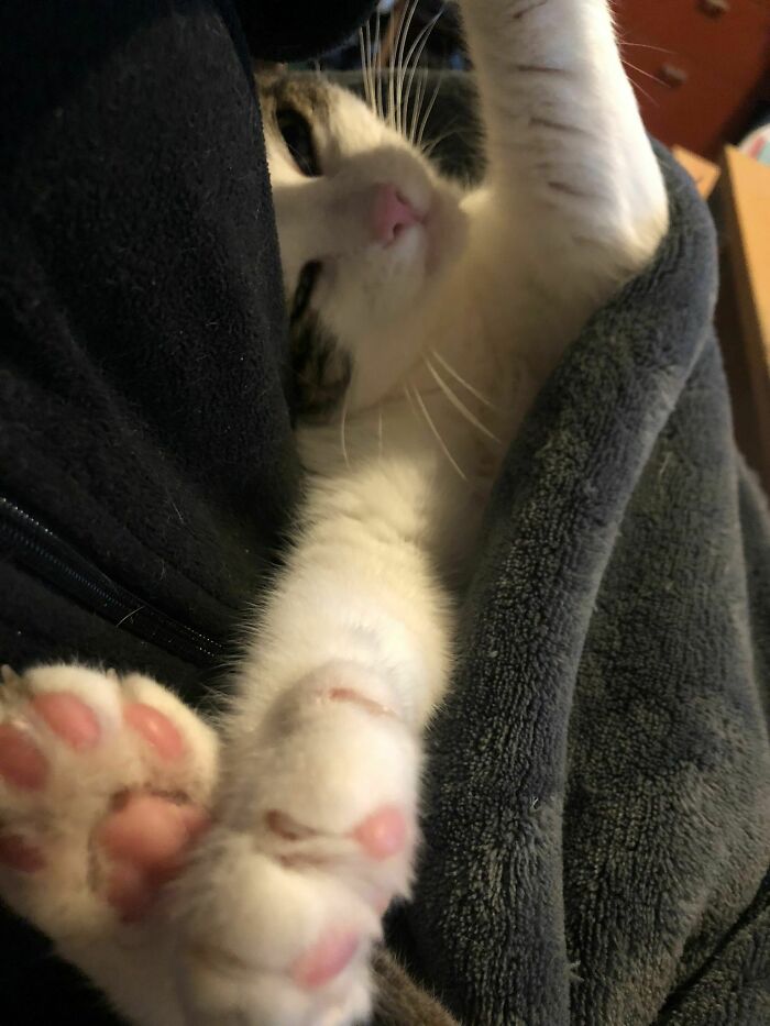 My First Bp Submission Ever - Of Course Of One Of My Babies :)