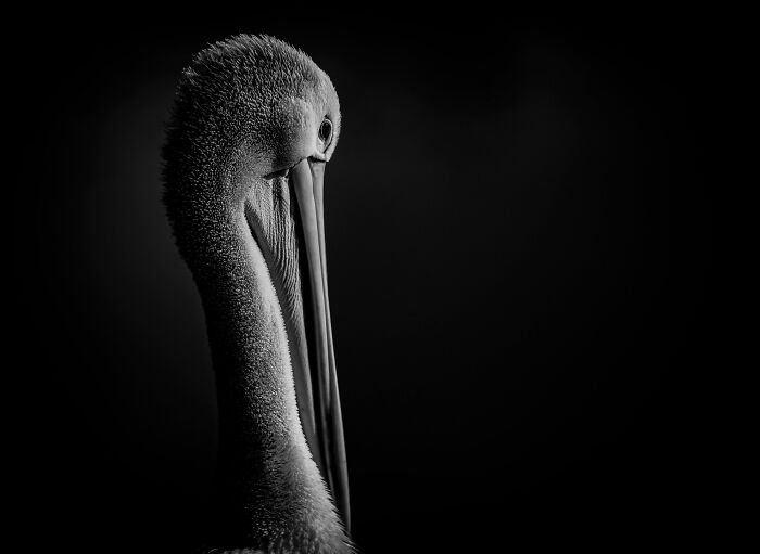 Youth: "Contemplating..." By Jacob Dedman (Shortlist)