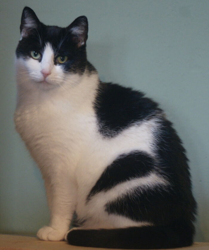 My Little Girl Winnie Looking Like The Angel She Isn't 