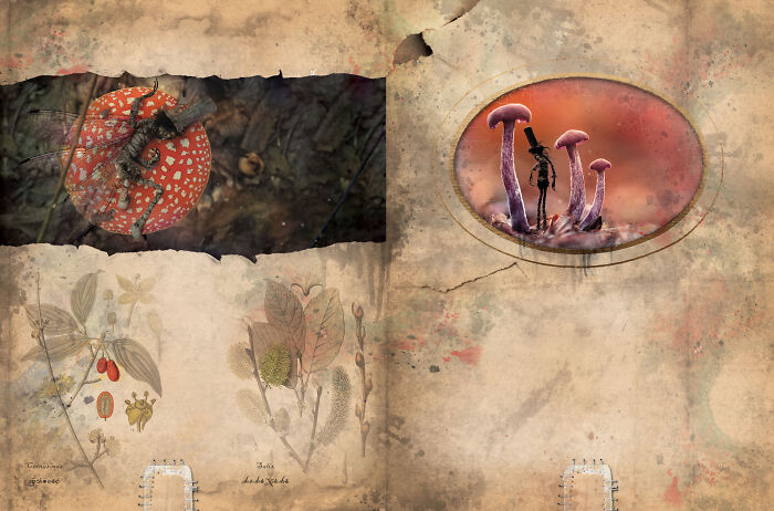 Zdenko Ba&scaron;ić: The Witchfinder Of The Witching Hour (12 Pics)