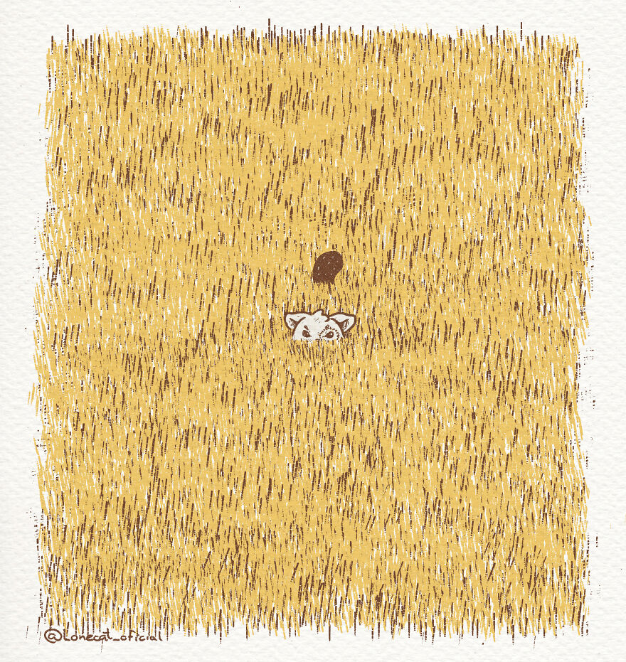 I'm Sure You Will Never Find Me!