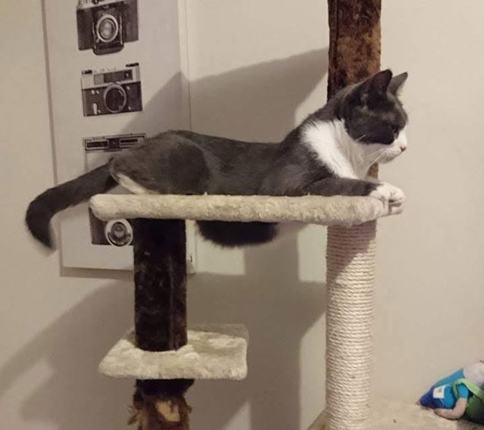 Mumma Sophie And Her Very Pregnant Belly