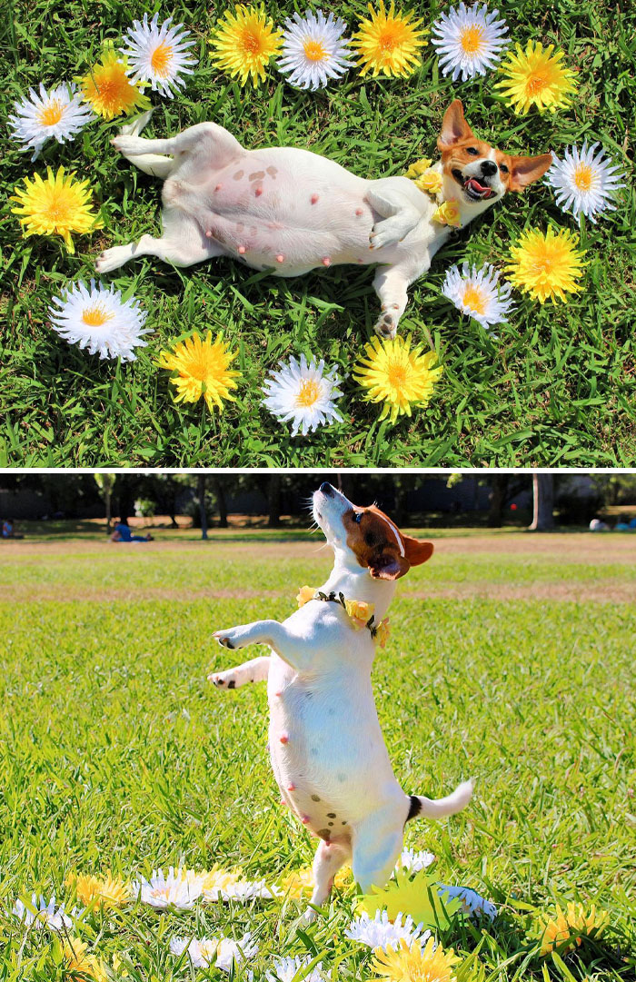 One Beautiful Momma. Not Long To Go Now