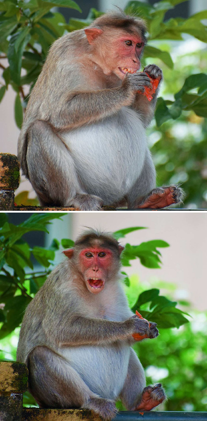 Eating Healthy Is An Essential Part Of Being Pregnant