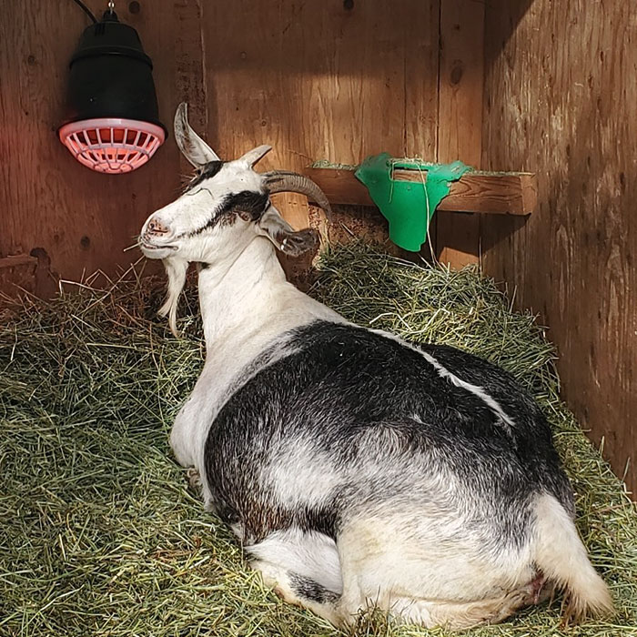 Girlfriend Taking Her Own Sweet Time. We Can’t Wait To See Her Little Ones