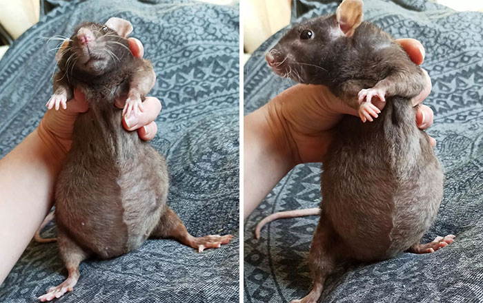 How Many Are There? I'm Already Scared, But Looking Forward To It