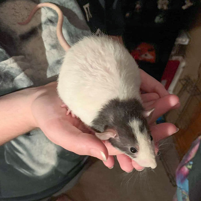 Nothing Yet, But Everyday We Get Closer. She Currently At This Stage Says Do Not Hold Me Up For Belly Photos, It's Uncomfortable