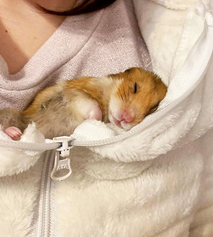 Classic Bubenchik. Such A Cutie While Sleeping