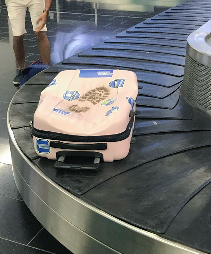 I Feel Bad For The Suitcase Owner