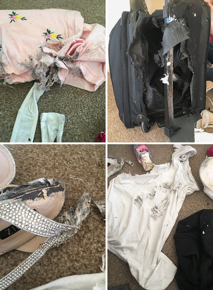About £100 Of Damage, When Gatwick Burnt And Ruined My Suitcase And I Get £37.50 Back A Month Later. Just Gotta Laugh Really