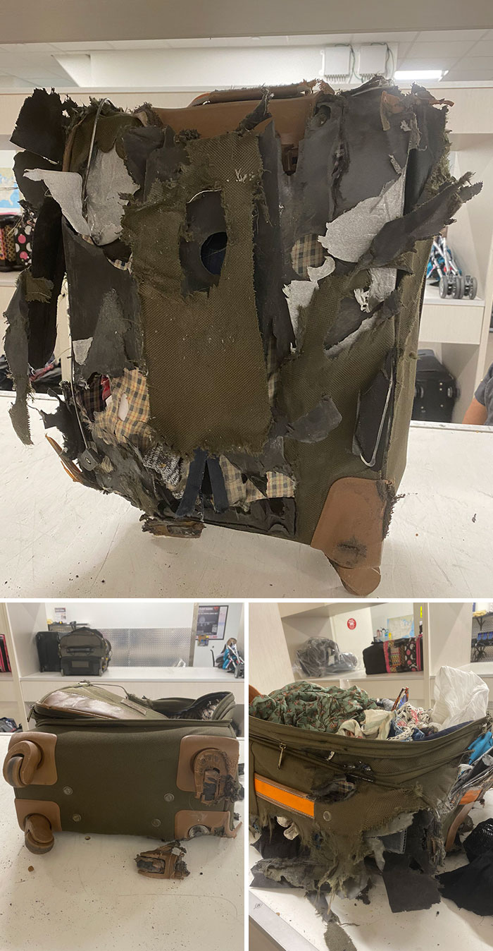 “Rare” Delta Damaged Baggage