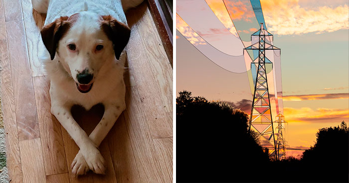 “I Cannot Believe I Caught This”: 50 Times People Couldn’t Believe The Beauty They Managed To Capture In A Photo