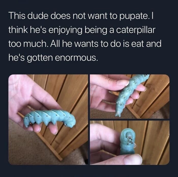 Amusing-Best-Worst-Tweets