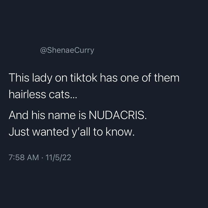 Amusing-Best-Worst-Tweets