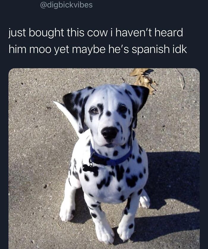 Amusing-Best-Worst-Tweets