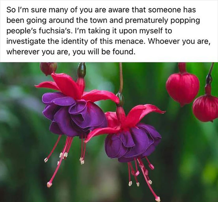 Angry-Facebook-Groups-People