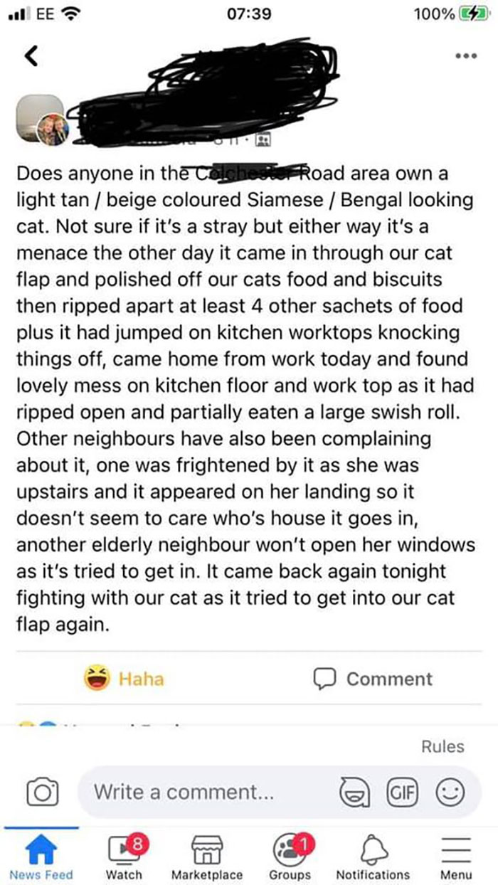 Angry-Facebook-Groups-People