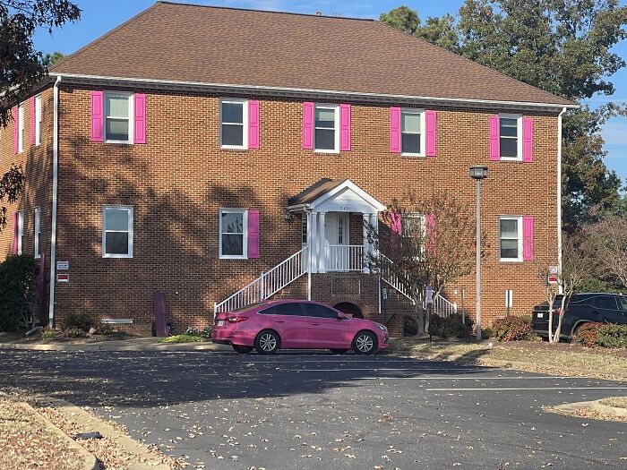 Encontré esto al norte de Petersburgo