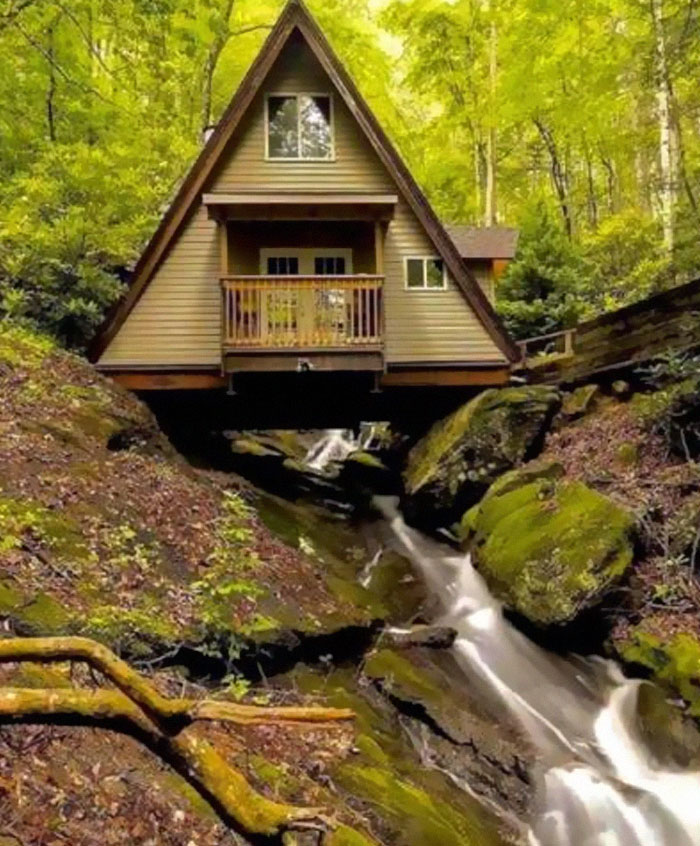 Puedo oler el moho desde aquí