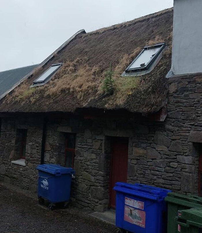 Hay muchas cosas aquí