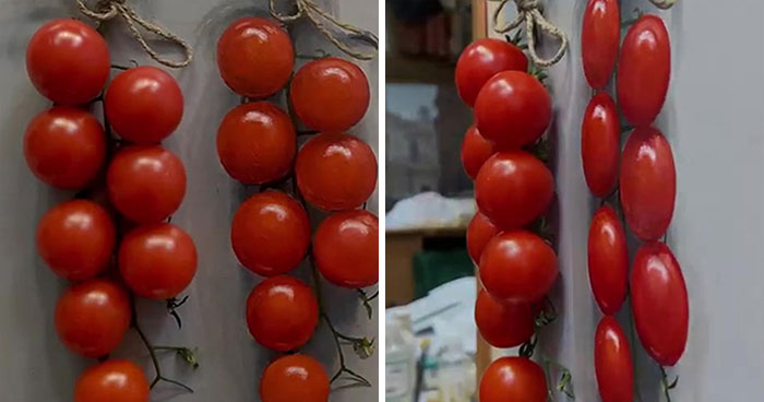 This Artist Makes Hyperrealistic Paintings, And Here Are His 19 Sketches That Show Off His Skills