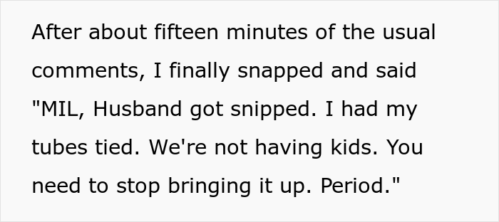 Childfree Woman Has Had Enough Of MIL Pushing For Kids, Finally Snaps And MIL Storms Off Crying, She Asks If She Went Too Far