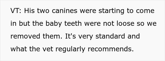 &ldquo;I&rsquo;m Upset That They Couldn&rsquo;t Explain That Decision&rdquo;: Guy Is Livid After Learning Vet Did A Surprise Tooth Extraction During His Pup&rsquo;s Neutering