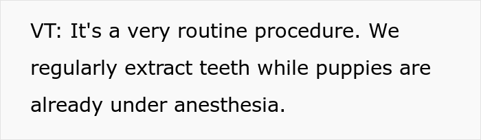 &ldquo;I&rsquo;m Upset That They Couldn&rsquo;t Explain That Decision&rdquo;: Guy Is Livid After Learning Vet Did A Surprise Tooth Extraction During His Pup&rsquo;s Neutering