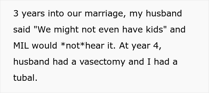 Childfree Woman Has Had Enough Of MIL Pushing For Kids, Finally Snaps And MIL Storms Off Crying, She Asks If She Went Too Far