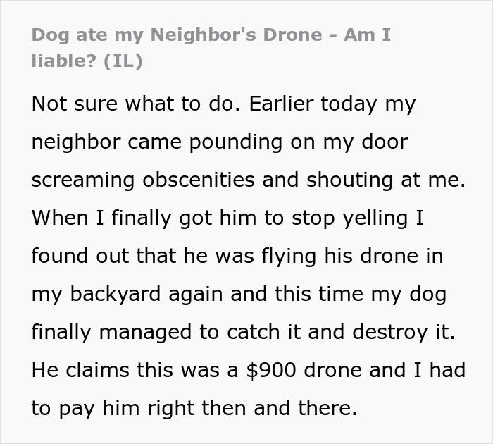 A Jerk Sues Neighbor Because His Dog Destroyed His Expensive Drone, Embarrasses Himself In Court