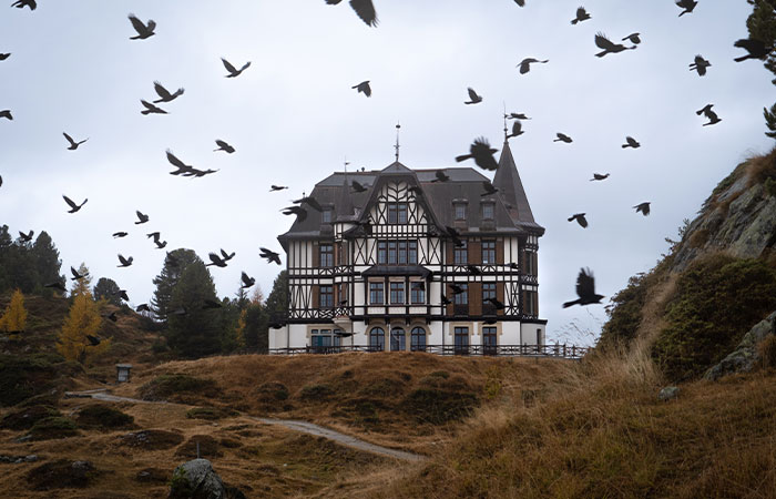 31 Pictures Of Beautiful Swiss Landscapes That I Captured While Traveling There In Autumn