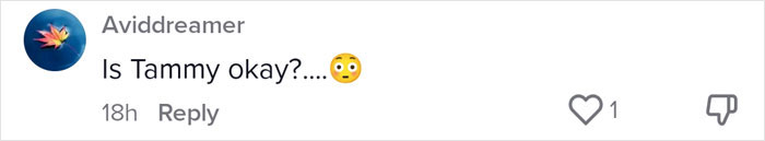 "With All Due Disrespect, Go To Hell": People Roast These Delusional Demands A Parent Has For Their Babysitter While Only Paying Them $200 A Week "With All Due Disrespect, Go To Hell": People Roast These Delusional Demands A Parent Has For Their Babysitter While Only Paying Them $200 A Week