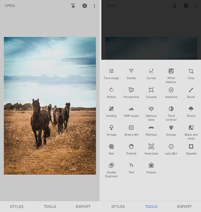 Snapseed app with walking horse picture editing