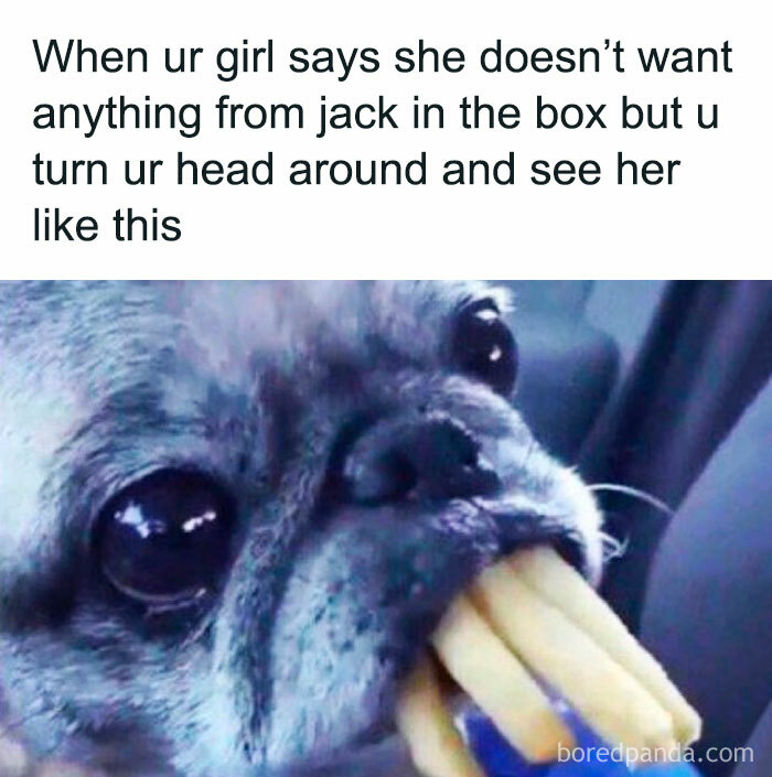 Body-Struggle-Weight-Loss-Memes