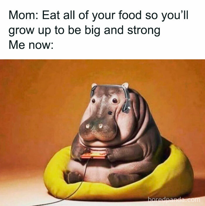 Body-Struggle-Weight-Loss-Memes