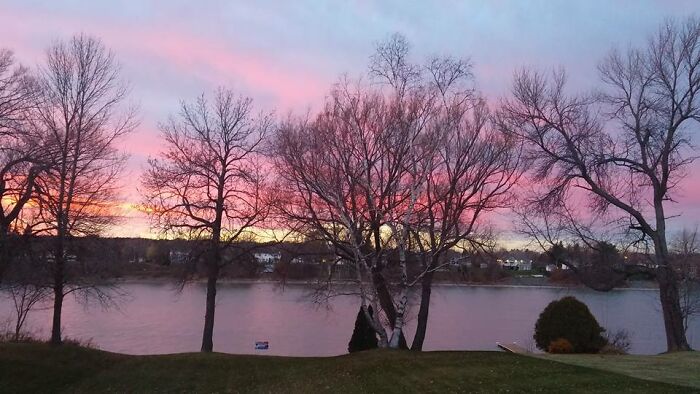 The View From My Parents Living Room