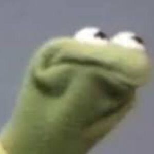 abigailbozung avatar