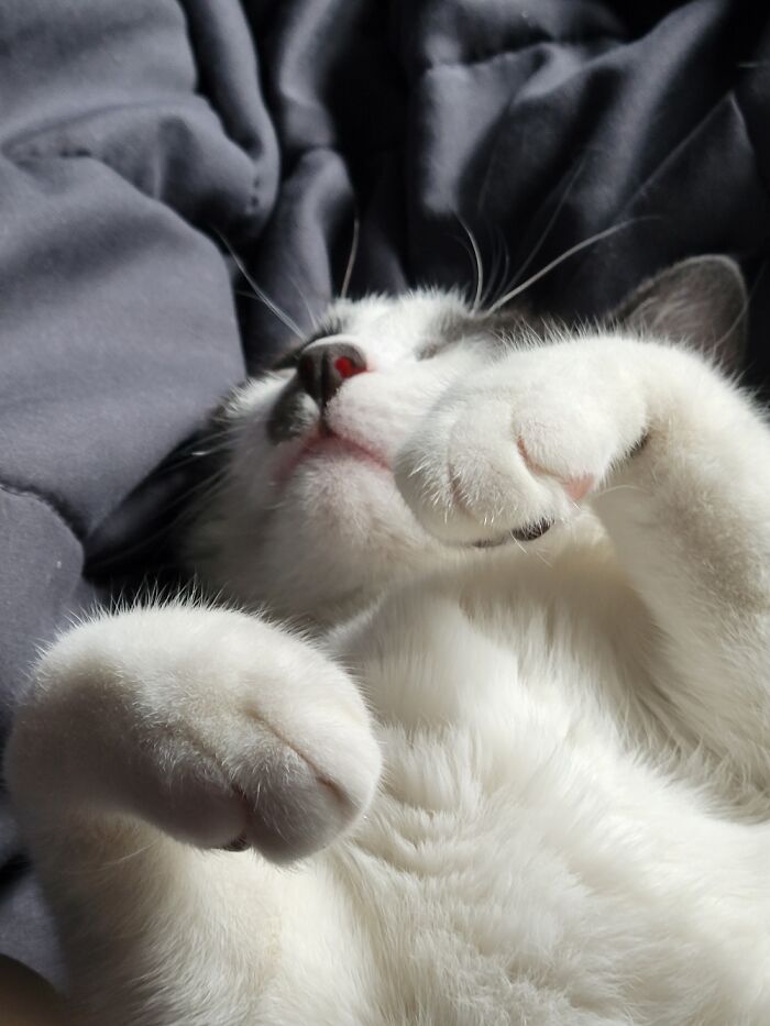 My Little Patch Stache Princess