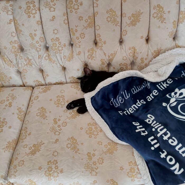 It Was Cold, Put Himself To Bed