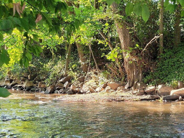 This Little Place Under The Tree :) ..it Used To Be My Safe Place - Today It's My Happy Place ♡